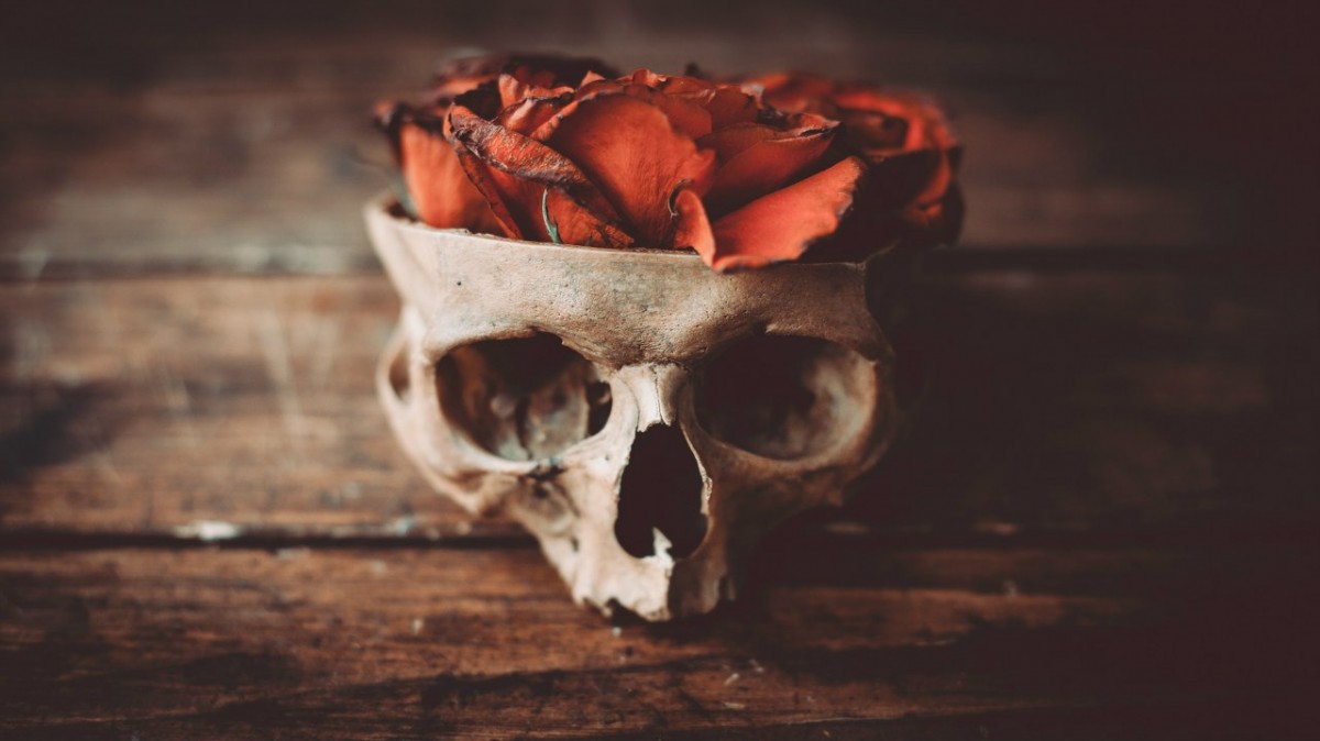آن گلِ سرخِ مصنوعی