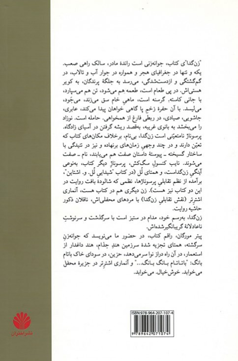 نایب کنسول