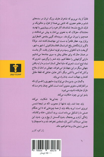 در جستجوی مولانا
