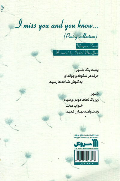 دلتنگم و می دانی...