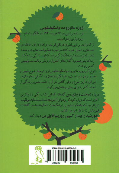 درخت زیبای من