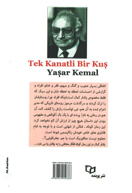 پرنده ای با یک بال