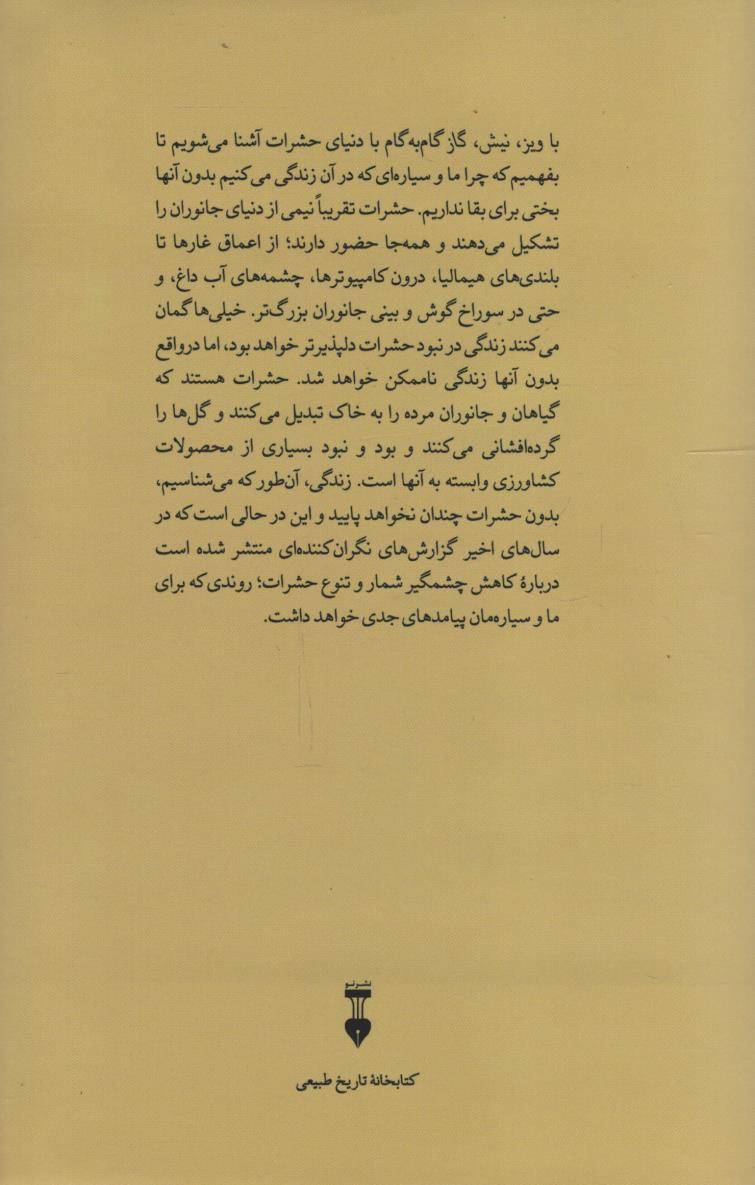 ویز نیش گاز