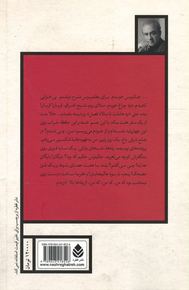نمایشنامه هاملت با سالاد فصل