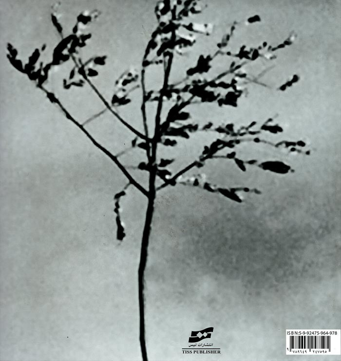 زندگی و دیگر هیچ