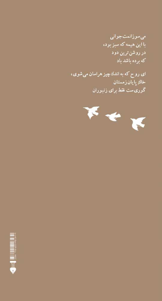 وهم سبز