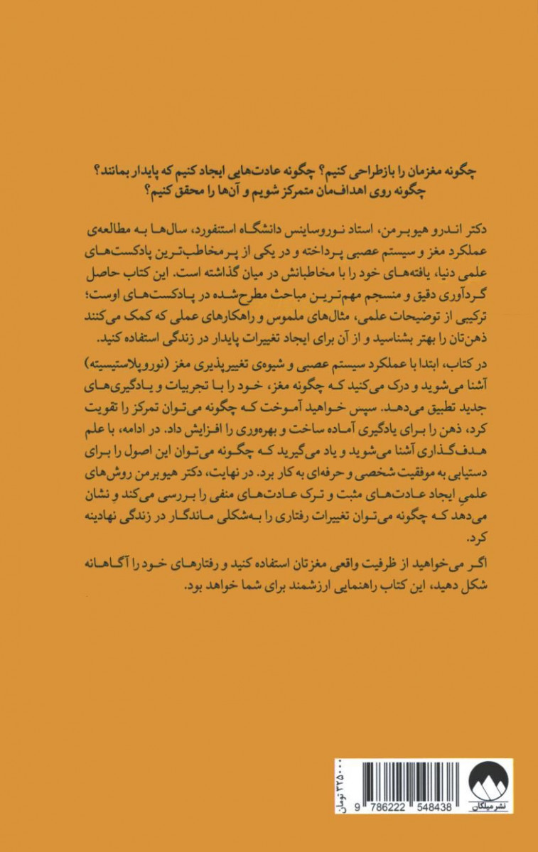مغز منعطف