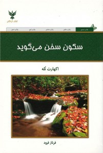 سكون سخن می گوید