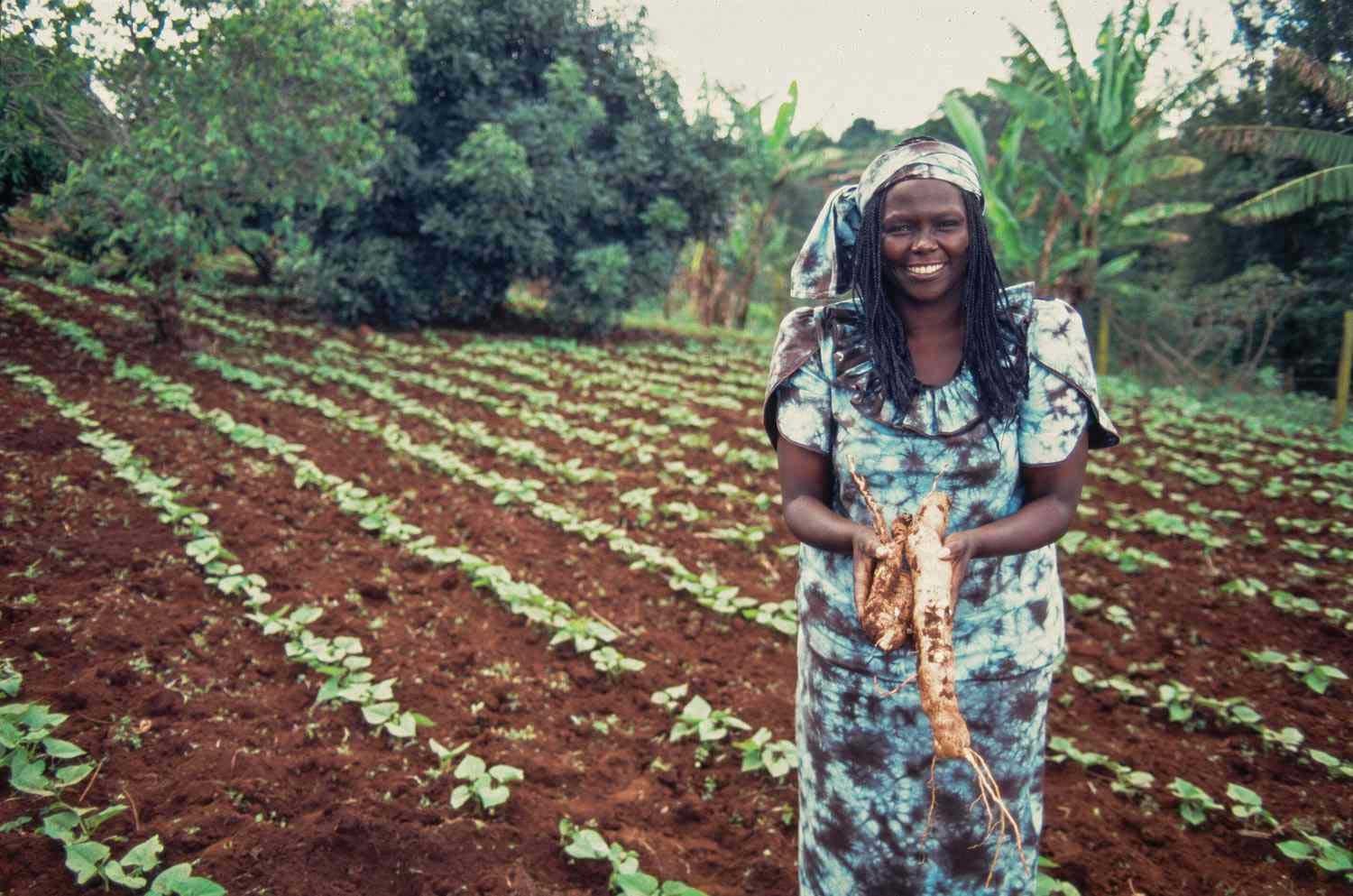 وانگاری ما آتای Wangari Maathai