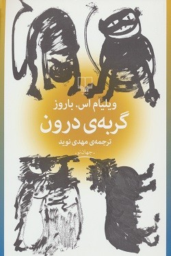 گربه درون