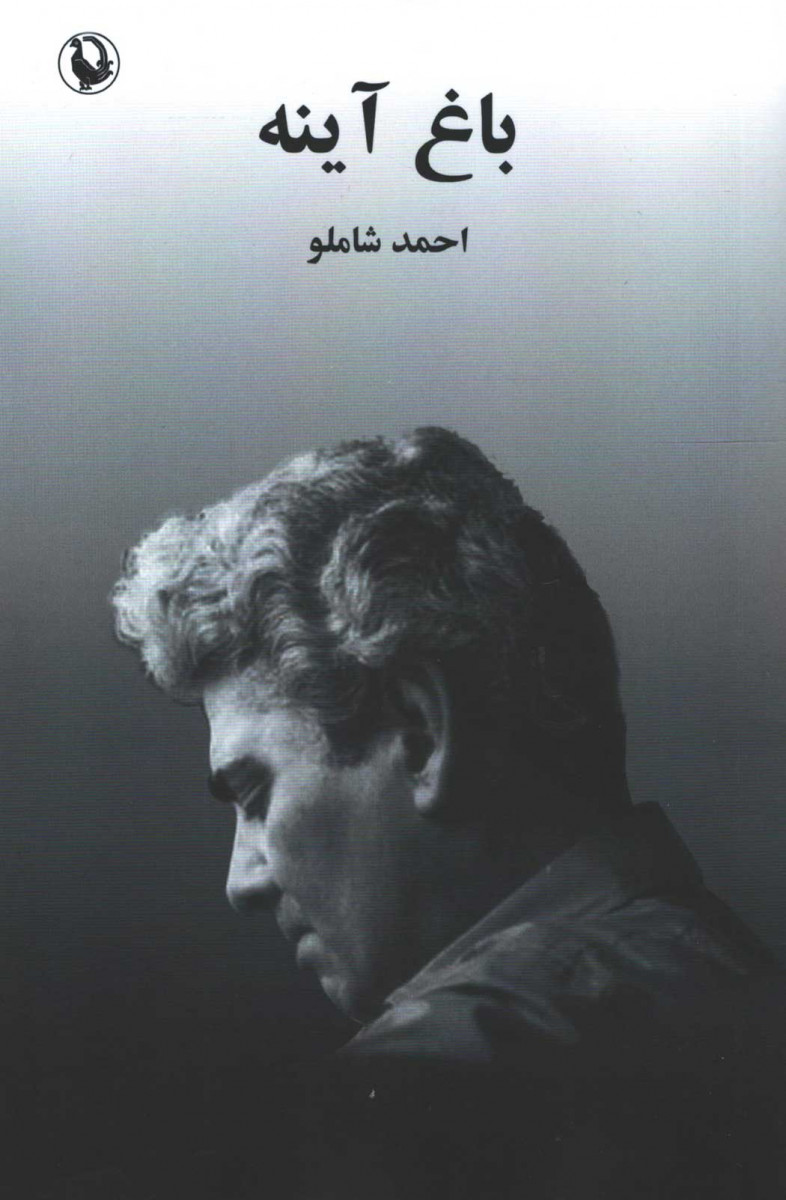 باغ آینه