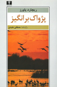 پژواک برانگیز