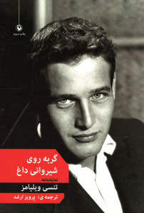 گربه روی شیروانی داغ