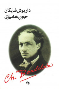 جنون هشیاری