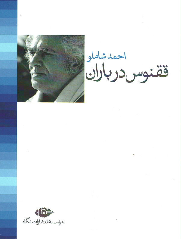 ققنوس در باران