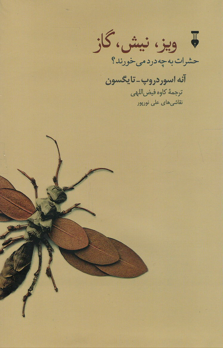 ویز نیش گاز