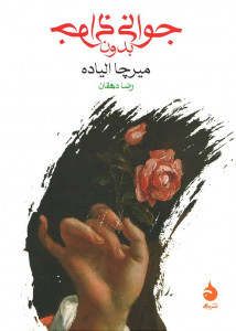 جوانی بی جوانی
