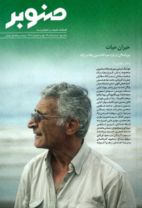 مجله صنوبر شماره ۲۸ و ۲۹